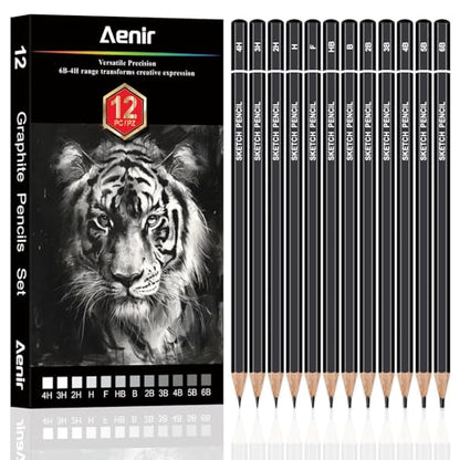 Aenir Drawing Pencils for Sketching, Set of 12 Sketch Pencils, 6B-4H | Art Supplies for Beginners & Artists: Art Pencils for Sketching Projects, Graphite Pencils for Drawing and Shading - size: 1 Count (Pack of 12)