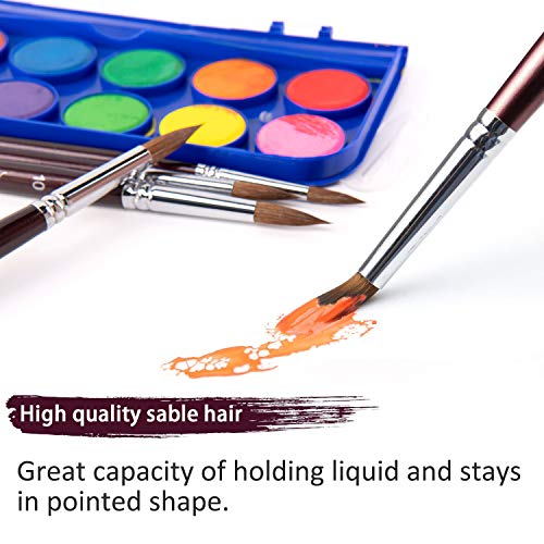 Sable Watercolor Brushes, Fuumuui 9pcs Detail to Mop Sable Brushes Round Pointed Professional Water Color Brushes Perfect for Watercolor Gouache Acrylic Ink Painting - color: Brown
