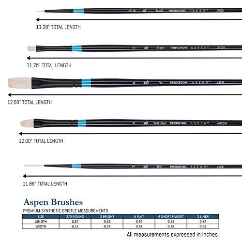 Princeton Aspen 6500 Series 5pc Professional Paint Brushes for Acrylic Painting - Synthetic Oil, Gouache, and Acrylic Paint Brushes Set - Filbert Striper Flat & Round Set of Art Brush | 5pc Synthetic Oil, Gouache, Watercolor and Acrylic Paint Brushes Set,