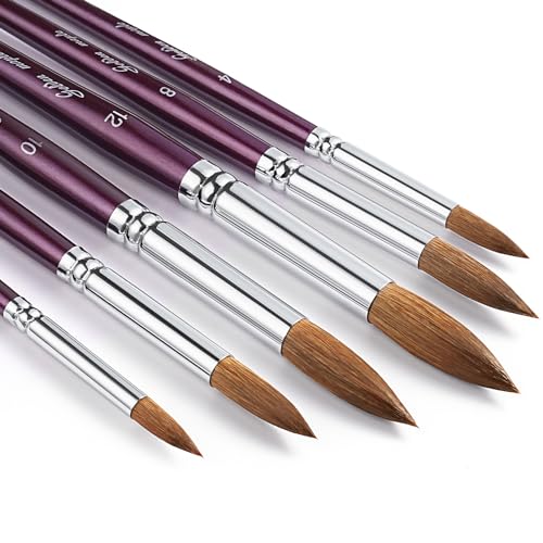 Golden Maple Professional Watercolor Brushes Set - 6PC Natural Hair Horsehair Round Point Artist Paint Brushes for Adults Watercolor Acrylic Ink Gouache Painting Supplies