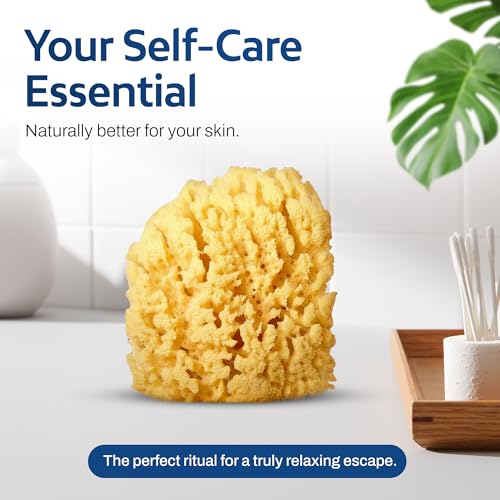 HartFelt Gentle Exfoliation Yellow Sea Sponge 4in | Natural Shower Sponges for Bathing for Men and Women | Rich Lather - size: 1 Count (Pack of 1), style: Yellow Sea Sponge