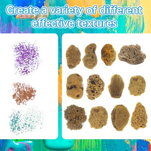 Natural Sea & Synthetic Sponges - Assorted Sizes 8pc Value Pack for Crafts & Artists: Multi - Purpose Art Supply for Professional Painting, Ceramics, Clay & Pottery Projects (8)