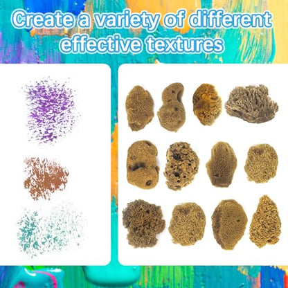 Natural Sea & Synthetic Sponges - Assorted Sizes 8pc Value Pack for Crafts & Artists: Multi - Purpose Art Supply for Professional Painting, Ceramics, Clay & Pottery Projects (8)
