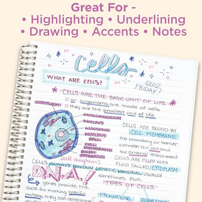 Zebra Pen MILDLINER Highlighter, Refresh and Friendly, Dual Tip, 10-Pack - color: Friendly B