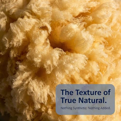 Natural Sea Wool Sponges 2pk, 6"-7" Body Sponge + 3"-4" Facial, Bath & Face | Softest sea sponge variety. Sustainably harvested & hypoallergenic. Perfect body + face set, gift-ready in a drawstring bag.