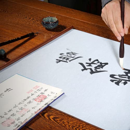 Watris Veiyi Reusable Calligraphy Paper for Student Teaching, No Ink | Chinese Magic Cloth Water Paper, Water Writing Cloth