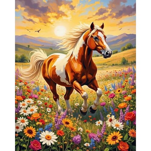 Arttoplus Horse Paint by Numbers Kit for Adults Beginner 16x20 inch - color: MT22581-US