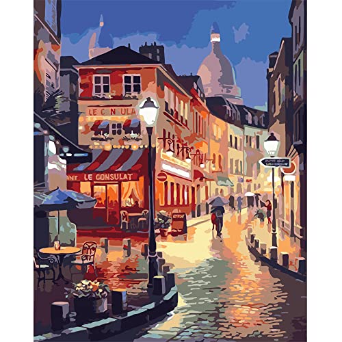 QUITEDEW Paint by Number Kits for Adults,City Paint by Number Adult,Street Scenery Painting by Numbers,Night View Oil Painting Suitable for Home Wall Decoration 16x20 Inch - color: B3-night street