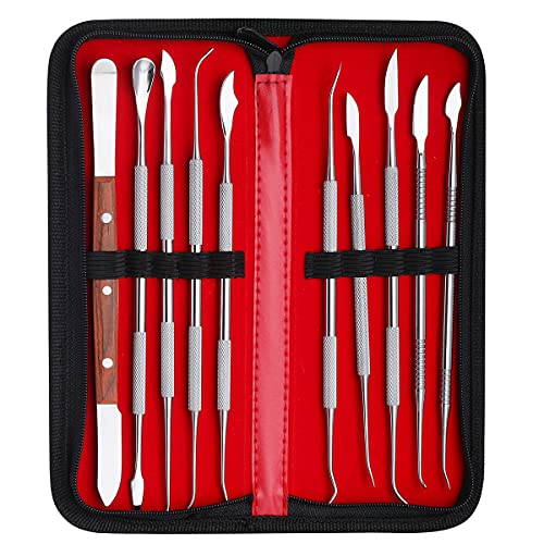 Wax Carving Tools - 10PCS Stainless Steel Wax Carvers Set Sculpture Chisel Tools Double-Ended Pottery and Polymer Clay Tools and Carrying Case