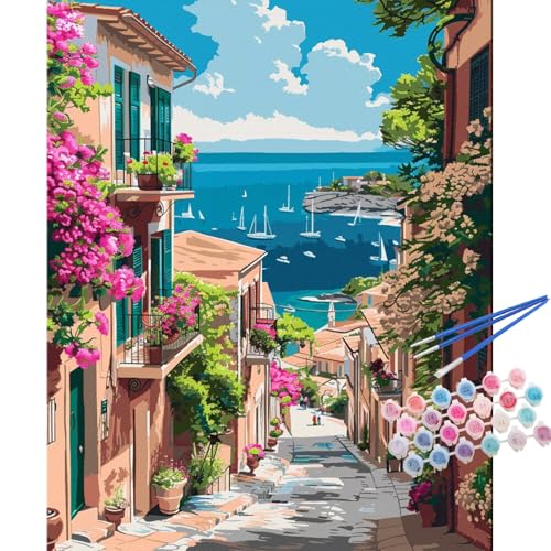 TOCARE Mediterranean Paint by Numbers Kit for Adults Beginner, Greece Paint by Number Canvas Kit, Acrylic Adults' Paint-by-Number Kits Landscape 16x20inch (Without Framed) - color: TC-OPC-358