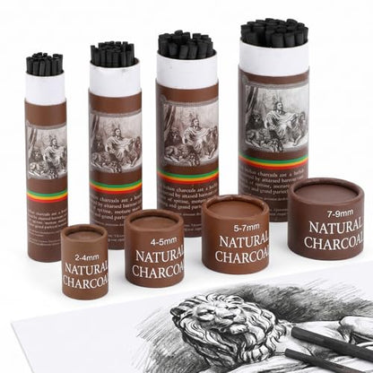 100 Pcs Willow Charcoal Sticks, Black Willow Charcoal for Artists Beginners Students, Drawing Charcoal for Sketching and Shading, Art Supplies(2-4mm, 4-5mm, 5-7mm,7-9mm)