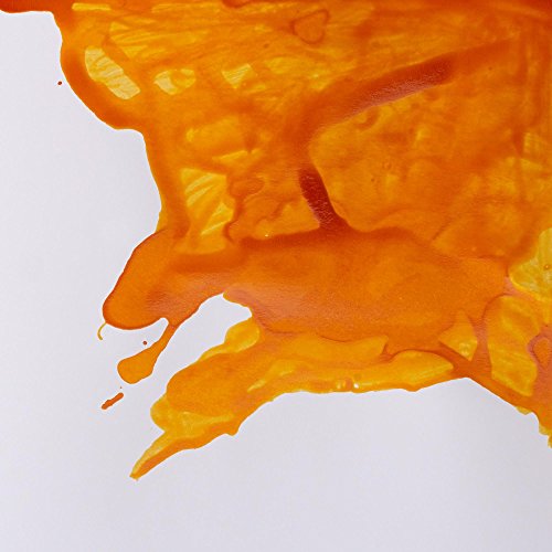 Winsor & Newton Drawing Ink, 14ml Bottle, Sunshine Yellow | Fast-drying, transparent & water-resistant; Outstanding Color Brilliance; Perfect for brush, dip pen, airbrush applications. - color: Sunshine Yellow, style: 14ml Bottle