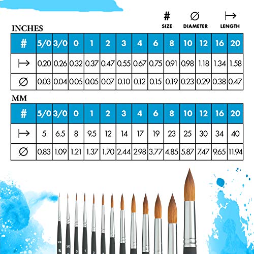 Princeton Aqua Elite, Series 4850, Synthetic Kolinsky Watercolor Paint Brush,Round, 20 - size: Size 20