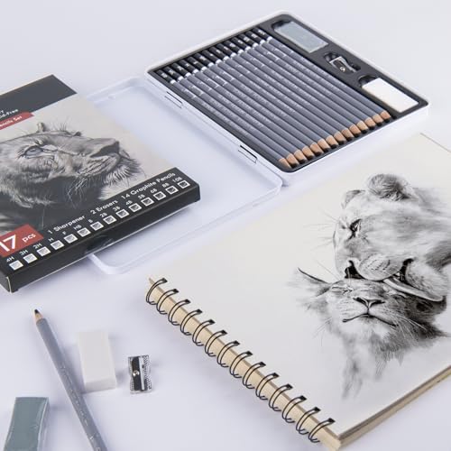 Brusarth Professional Sketch Graphite Pencils for Drawing Set,17 Pcs
