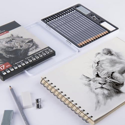 Brusarth Professional Sketch Graphite Pencils for Drawing Set,17 Pcs