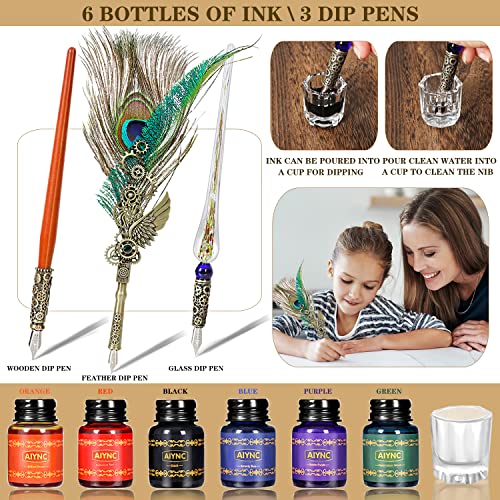 Quill Pen and Ink Set, Feather Pen Ink Set, Wax Seal Stamp Kit, Calligraphy Set, Valentine's Day Gifts for Writing Lovers Birthday Gifts, Ideal Calligraphy Gifts for Holidays(Peacock Feather) - color: Peacock Feather
