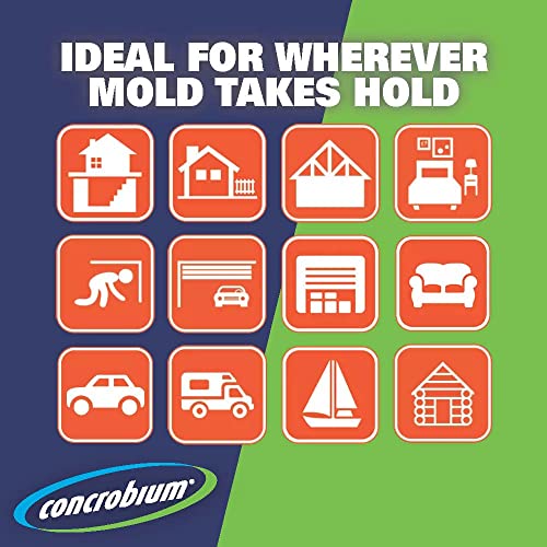 Rust-Oleum Concrobium 27400 Mold Control Aerosol, 32 oz