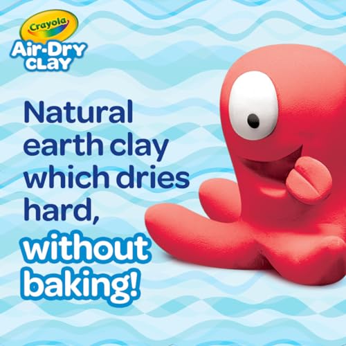 Crayola Air Dry Clay, Classic Colors, Bulk (4) Set of 2.5 lb. Resealable Buckets, Modeling Clay Alternative for Kids - color: White, size: 10lb