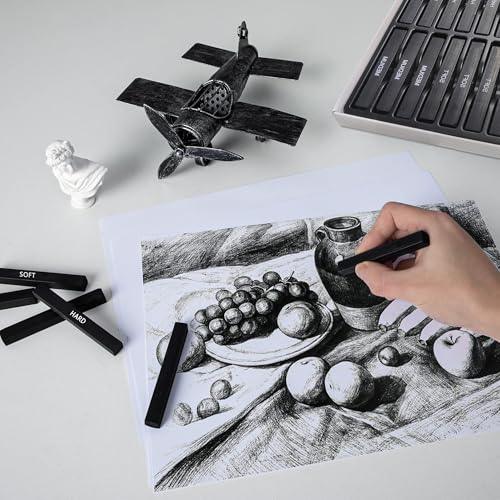 24 Pcs Compressed Charcoal Sticks with Soft, Medium, Hard and White Charcoal, Square Charcoal Stick Kit for Drawing, Sketching and Shading (12 Black + 4 Gray + 8 White) - color: 12 Black + 4 Gray + 8 White