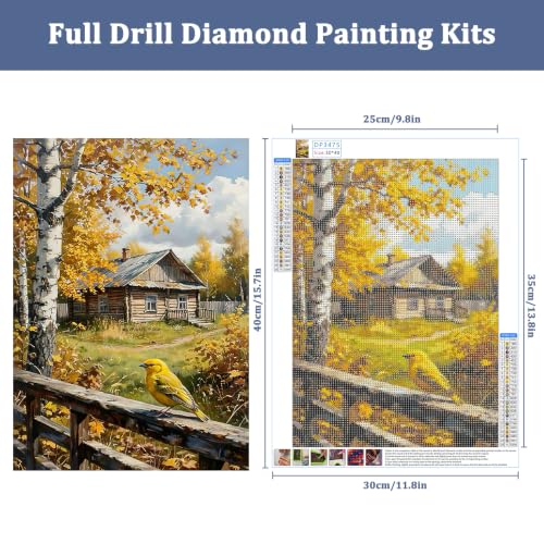 Auremi Nature Diamond Art Painting, 5D Houses Diamond Painting Kits, Full Drill Diamond Dots Paintings for Beginners, Crystal Art Painting Kits for Home 30x40 cm - color: Diamond Painting 011