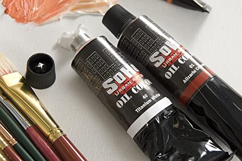 Soho Urban Artist Oil Paint Mixing Set of 5-170 mL Tubes, Triple-Milled Oils with Refined Linseed - Smooth Application, True Color Mixes, Ideal for Brushes & Palette Knives