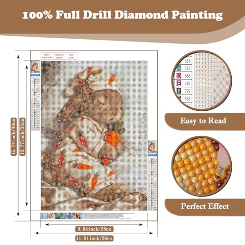 Cute Rabbit DIY Diamond Art Kits for Adults, 5D Diamond Painting Kits | Gem Painting, Dimond Art Paintings Kit, Full Drill Diamond Dot for Home Wall Decor 12 X 16 Inch - color: CM076