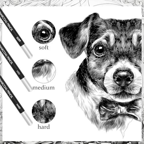 Geyoga 36 Pcs Professional Charcoal Pencils Soft, Medium and Hard for Drawing Charcoal Pencils for Sketching Shading Drawing Blending Portrait(Black, Hard) - style: Hard