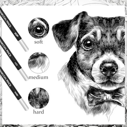 Geyoga 36 Pcs Professional Charcoal Pencils Soft, Medium and Hard for Drawing Charcoal Pencils for Sketching Shading Drawing Blending Portrait(Black, Hard) - style: Hard