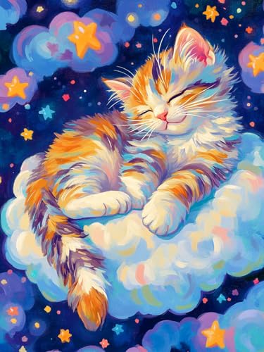 Yunnuo Cat Diamond Art Kits for Adults Beginner,Diamond Painting Cat Sleep on The Cloud,DIY Full Drill Gem Art Painting,Perfect for Gifts and Decorations(12x16in/30x40cm) - color: D006-cloud cat 30x40cm
