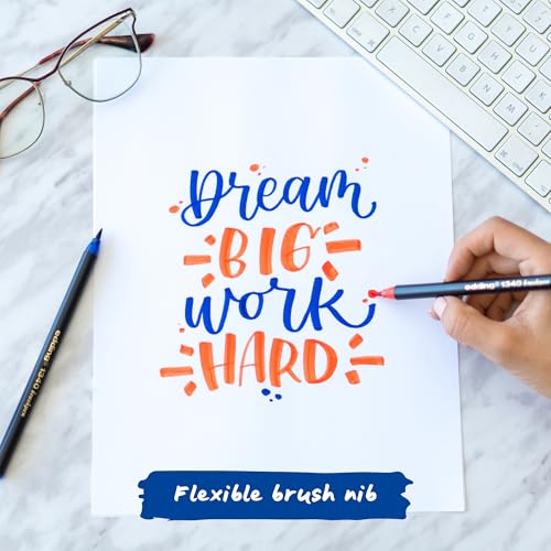 edding 1340 Brush Pen - Set of 20 - Colorful, Bright, Delicate Colors - Flexible Brush Nib - Felt-Nib Pen for Painting, Writing and Drawing - Bullet journals, Hand Lettering, Mandalas, Calligraphy - color: 24: Set of 20 - Multicoloured