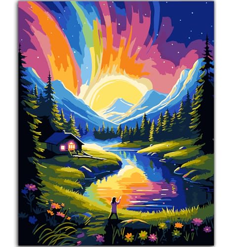 ZTOTZ Paint by Numbers Kit for Adults,Aurora Borealis Painting by Numbers16x20 Canvas,Landscape Paint by Number Kits for Home Decor - color: C-001-pink aurora