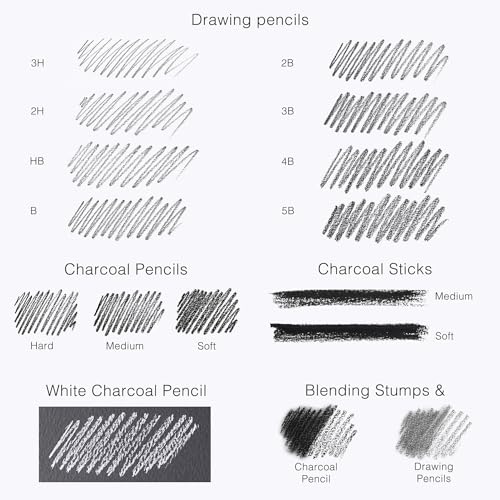 ARTISTIC EYE Premium Drawing and Sketching Pencil Art Set (20 Items): Complete Kit with Graphite Pencils, Charcoal Pencils, Sticks, Blending Stumps, Erasers, and Sharpeners