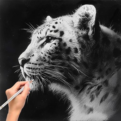 Aeni White Chalk Pencil, Pack of 12, Charcoal Pencils for Drawing | Art Supplies for Highlighting, Portraits, Landscapes, Sketching, Blending, Artist Supplies for Beginners & Pro Artists - color: White