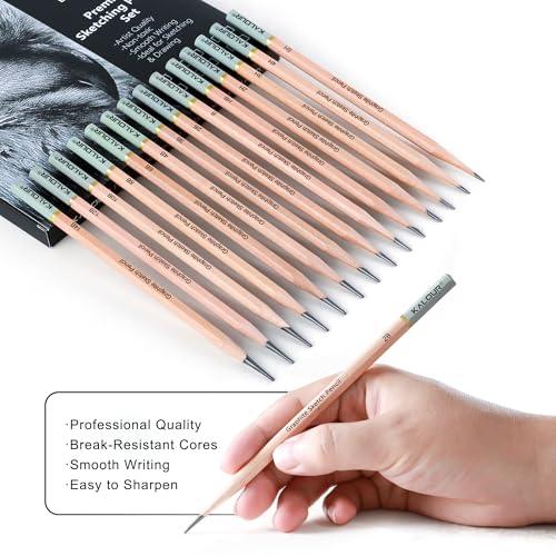 KALOUR 18-Piece Professional Sketch Pencil Set - Includes 5H to 14B Pencils, Vinyl Eraser, Kneaded Eraser,Sharpener and Paper Blending Stump - Ideal for Artists and Beginners