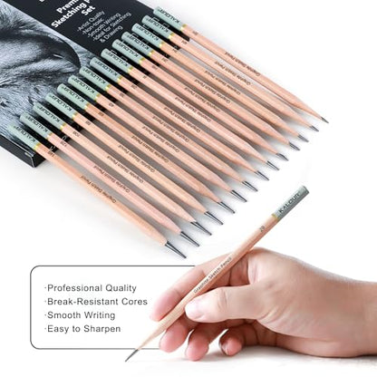 KALOUR 18-Piece Professional Sketch Pencil Set - Includes 5H to 14B Pencils, Vinyl Eraser, Kneaded Eraser,Sharpener and Paper Blending Stump - Ideal for Artists and Beginners