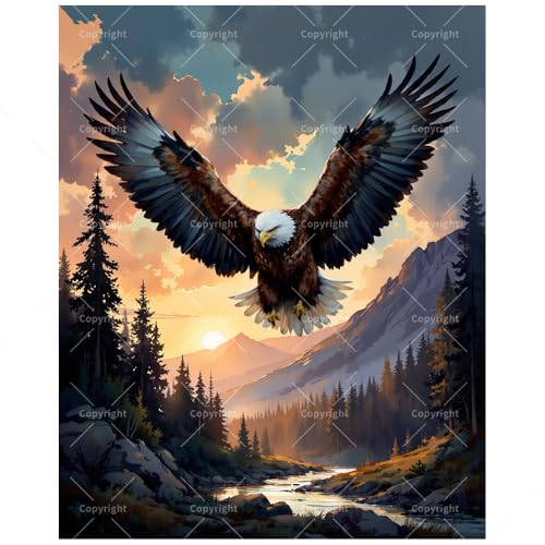 Animal Paint by Numbers Kit for Adults - DIY Bald Eagle Over Mountain Valley at Sunset Painting on Canvas 16x20 Inches, Acrylic Paint Set, Suitable for Beginners, Art for Home Decoration or Gifts - color: HSX00287, size: 16X20IN Folded