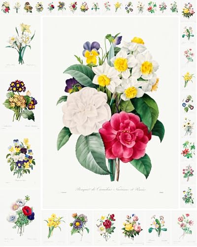 Decoupage Paper Pack (35 Sheets 6"x8") Incredible Illustrations of Wild Flowers in Bunches FLONZ Vintage Illustration Pictures Cards for Decoupage, Craft and Scrapbooking - color: Fourteen
