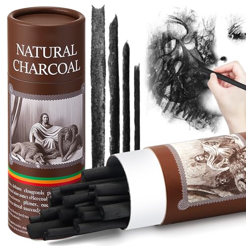 Gueevin 24 Pcs Soft Willow Charcoal Sticks Drawing,2-4mm，4-5mm，5-7mm，7-9mm | For Artists Beginners Students, Vine Charcoal Bulk for Sketching Shading Fine Art, Assorted Sizes, Back to School Gifts - size: 2-4mm，4-5mm，5-7mm，7-9mm