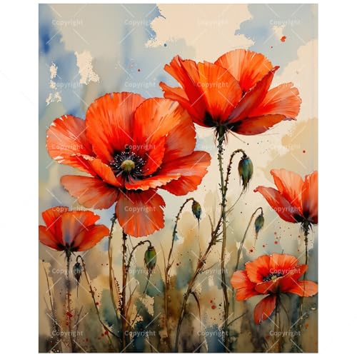 Flowers Paint by Numbers Kit for Adults - DIY Field of Red Poppies Painting on Canvas 16x20 Inches, Acrylic Paint Set, Suitable for Beginners, Floral Art for Home Decoration or Gifts - color: TCXY06534, size: 16X20IN Folded