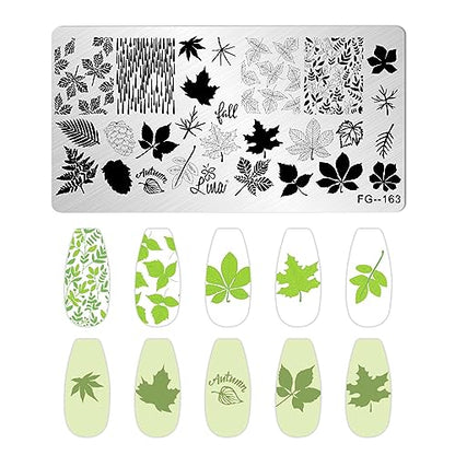 AddFavor Nail Stamper Kit 7pcs Nail Stamping Plates Flower Leaf Maple Nail Stencils with 2 Stamp and 2 Scraper for Home Salon Manicure Design Supplies Tools - color: Style B