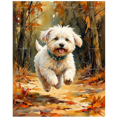 Animal Paint by Numbers Kit for Adults - DIY White Dog Running Through Autumn Leaves Painting on Canvas 12x16In, Framed Acrylic Paint Set, Suitable for Beginners, Pet Art for Decoration or Gifts - color: FM04890, size: 12×16in Framed