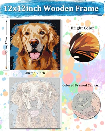 TOCARE Framed Paint by Numbers Kit for Adults & Kids Ages 8-12, 12x12Inch Dog Paint by Numbers with Frame, Golden Retriever Paint by Number Framed Canvas for Puppy Lovers (Without Easel) - color: TC-F-346