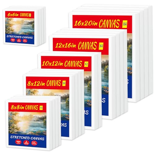 22-Pack Stretched Canvas 6 Sizes 6x6 to 16x20 Cotton for Oil & Acrylic | 10oz 100% cotton duck seed husk, triple acid-free gesso, reinforced pine frames for oil, acrylic & mixed media - size: 20x30, 30x40, 40x50, 20x20, 15x15, 24x30