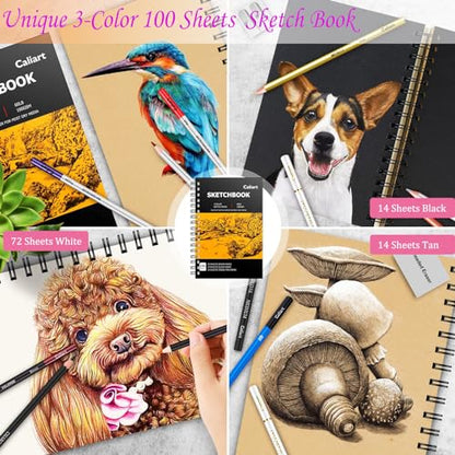 Caliart 176PCS Art Supplies Sketching Kit, 100 Sheets 3-Color Sketch Book - color: Black