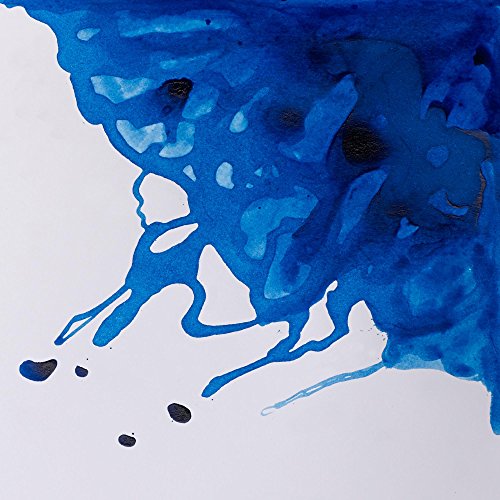 Winsor & Newton Drawing Ink, 14ml Bottle, Cobalt | Fast-drying, transparent & water-resistant; Outstanding Color Brilliance; Perfect for brush, dip pen, airbrush applications. - color: Cobalt, style: 14ml Bottle