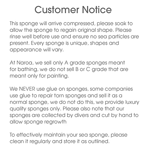 Naroa Soft Natural Sponge Large | Gentle Sea Loofah for Bathing Smooth Skin | Unbleached Shower Body Scrubber Puff | Bath & Spa (L)
