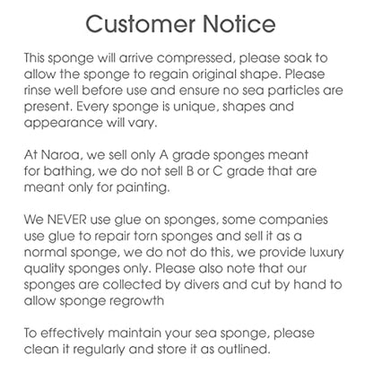 Naroa Soft Natural Sponge Large | Gentle Sea Loofah for Bathing Smooth Skin | Unbleached Shower Body Scrubber Puff | Bath & Spa (L)