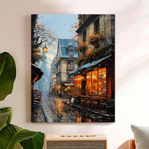 Reivworl Landscape Paint by Numbers Kit for Adults, Street Paint by Number for Adults, Adult Paint by Number Kits for Gifts and Home Wall Decor 16x20 Inch - color: 14-Street, size: Without Frame