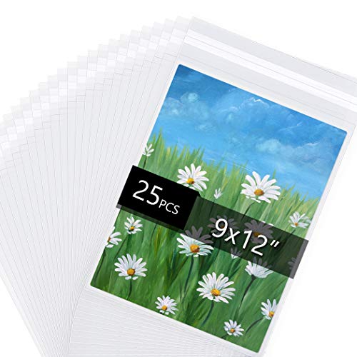 25 Pack Acid Free Crystal Sealed Clear Bags for 9x12 Art Prints, Photos | 1.496mil (Single Side), 9 3/8 Inches by 12 2/5 Inches - size: 9 inch x 12 inch