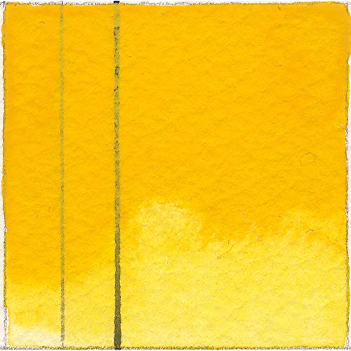 GOLDEN QoR Artist Watercolors, Diarylide Yellow, 11 ml Tube, Professional Watercolor Paint, Semi-Opaque - color: Diarylide Yellow